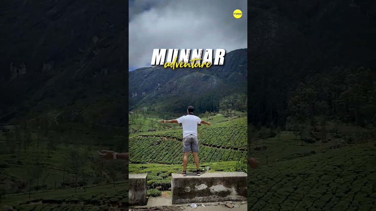 Explore the enchanting landscapes of Munnar with Tripbae! 