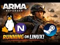 COBA LINUX GAMING #armareforger #nobaralinux