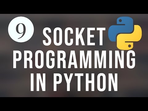 Python Socket Programming Tutorial 9 - UDP Client/Server Socket in Python with Example