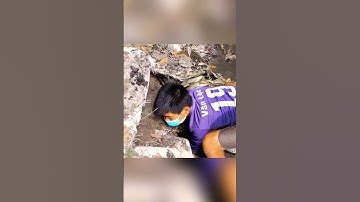 Tác mương lâu năm trúng ổ cá rô cá lóc khủng phần 12#shorts