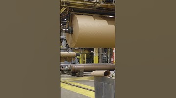 Do you know how #trees are turned into #cardboard? #howitsmade