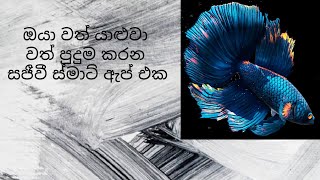 WALLPAPER FISH LIVE MOBILE APP | SINHALA | SL RAMIKA IT ACADEMY screenshot 2