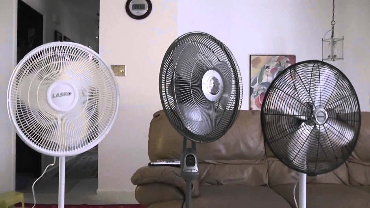 My fan for Where do