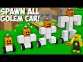 Why did I SPAWN ALL GOLEM CARS in Minecraft ! NEW SECRET IRON GOLEM CAR !