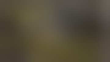 2 MINUTES. Black Tusk Mini Tank Warhound.