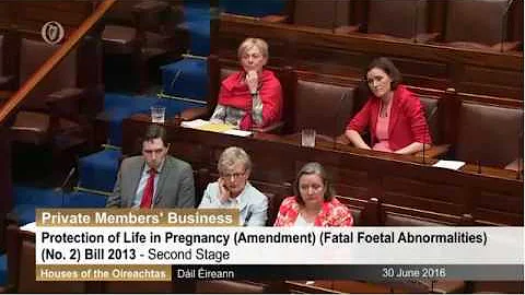 Speaking on Fatal Foetal Abnormalities bill and calling for the Repeal of the 8th Amendment