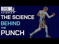 How To Punch Harder - Science Behind The Punch