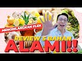 REVIEW 5 BAHAN ALAMI YG BISA MENGHILANGKAN FLEK!!