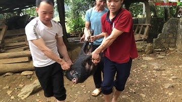 Phong Tục Ăn Tết Của Người Mường | Traditional Tet customs of the Muong people