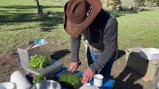 Said Creek Outfitters Pack Trip