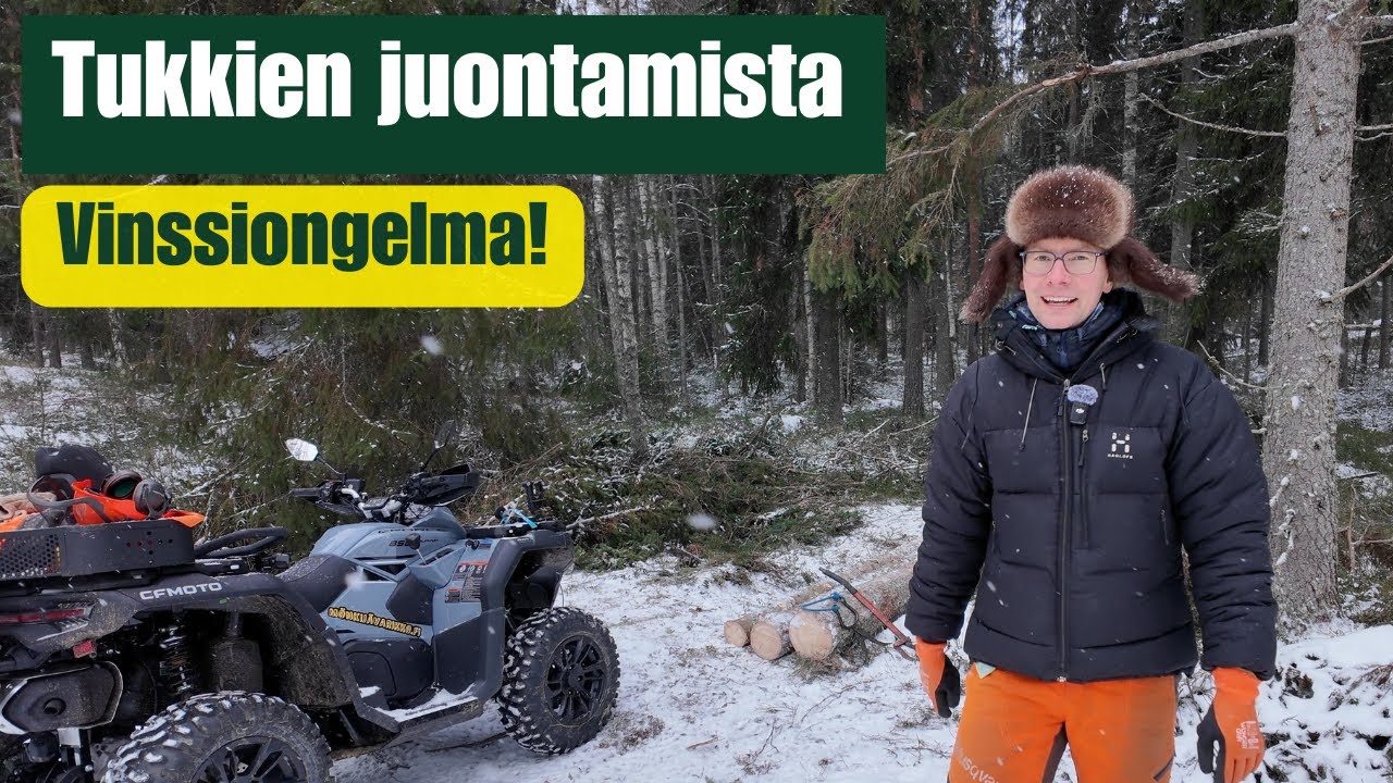 Kuusitukkien juontamista tien varteen!🌲