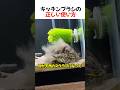 キッチンブラシの正しい使い方