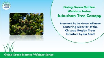 Our Urban Tree Canopy - What