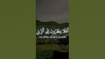 قران كريم بصوت جميل 🥺🤍🎧 #foryou #اكسبلور #tiktok #اكسبلورفولو #راحة_نفسية #حالات_واتس #اكسبلورر