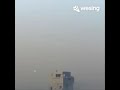 夜夜梦中见 夜夜梦中见