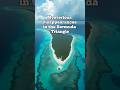 Bermuda Triangle Secrets | The Most Mysterious Disappearances in History #barmuda #triangle #secret