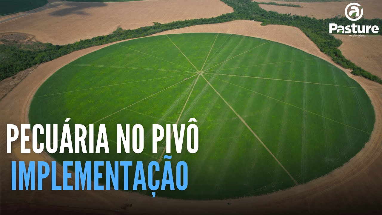 PECUÁRIA NO PIVÔ| IMPLEMENTAÇÃO
