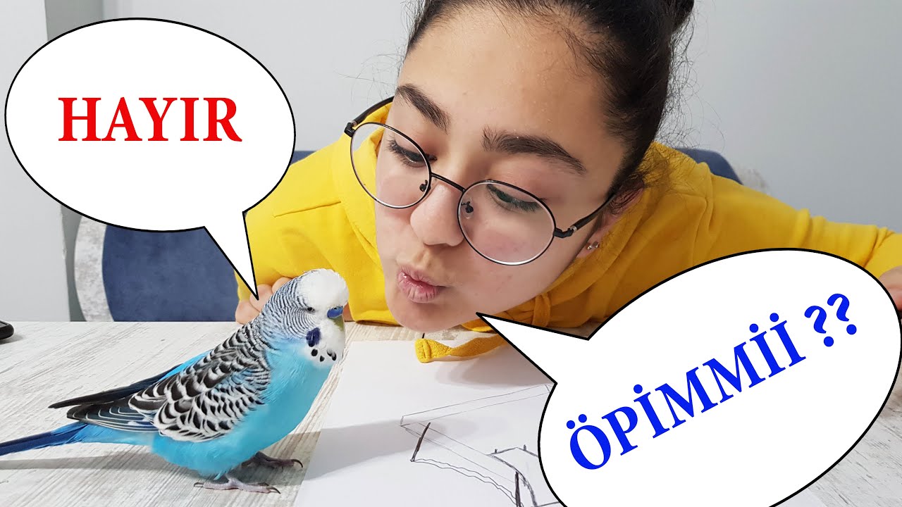 PAŞAYA OYUN PARKI TASARLIYORUZ / KUŞ PARKI / AFACAN PAŞANIN ÇILGIN HALLERİ