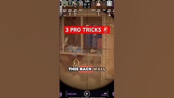 3 Anubis Pro Tricks Pros Don’t Want You to Learn!