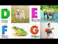 ABC Song for Kids | ABC Alphabet Song | Phonics for Kids | Alphabet Letters | Learn ABC