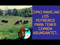 COMO MANEJAR LOS POTREROS PARA TENER COMIDA ABUNDANTE?..