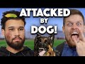 Attacked by a police dog you should know podcast episode 97