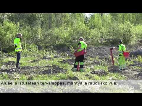 Video: Puiden Istutus Myyttejä