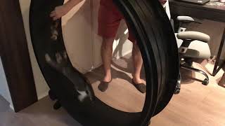 メイちゃん、ランニングマシンで走る、やっぱ激しいね