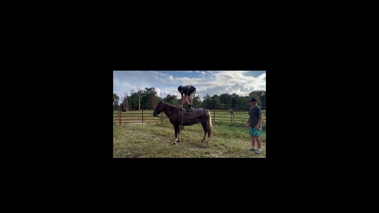 Ginger 7yr old quarter pony Bluegrass Lexington Horse Sale YouTube