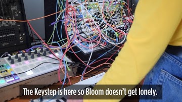 Thursday Bloom - Playing with a new Qubit