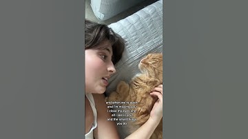 Thumbnail of those eyes by new west - cover