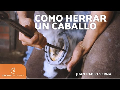 Vídeo: Cuinar Cues De Cavall