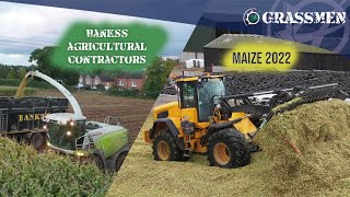 Maize with Banks's Agricultural Contractors Ltd
