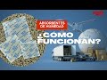 ¿Cómo Funcionan Los Absorbentes De Humedad?💧 | Cargo Depot