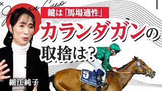 【ジャパンカップ2025】欧州最強馬・カランダガン参戦! 海外馬の好走条件とは/細江純子