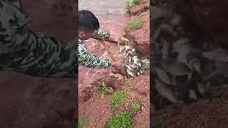 TOP videos fishing