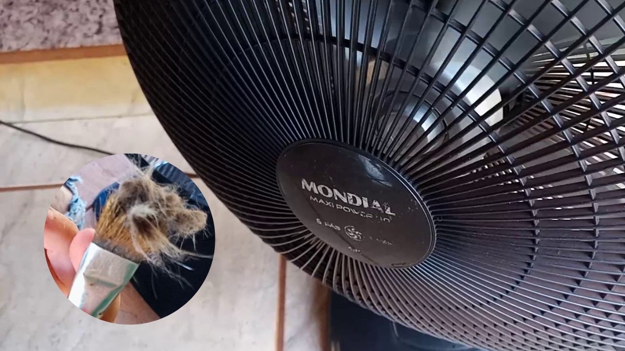 Meu Ventilador Nunca Ficou Tão Limpo