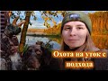 Охота на утку в октябре, дратхаар Азарт, девушка охотник