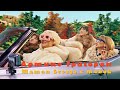 Armine Grigoryan Маман всегда с тобой Official Music Video Armine Grigoryan Маман всегда с тобой Official Music Video