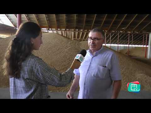 ვარდისუბნის პურკომბინატი (გადაცემა \"სოციუმი\")