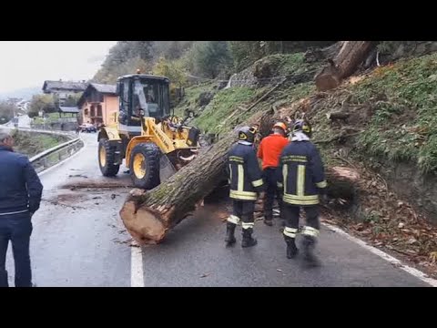 이탈리아 최악 폭풍우…사망자 속출ㆍ산림 쑥대밭 / 연합뉴스TV (YonhapnewsTV)