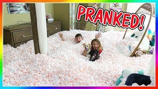 THE ULTIMATE PACKING PEANUT PRANK! | We Are The Davises