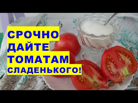 Video: Fotosintez muhimligining ikkita sababi nima?