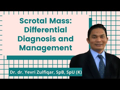 Scrotal Mass: Differential Diagnosis and Management