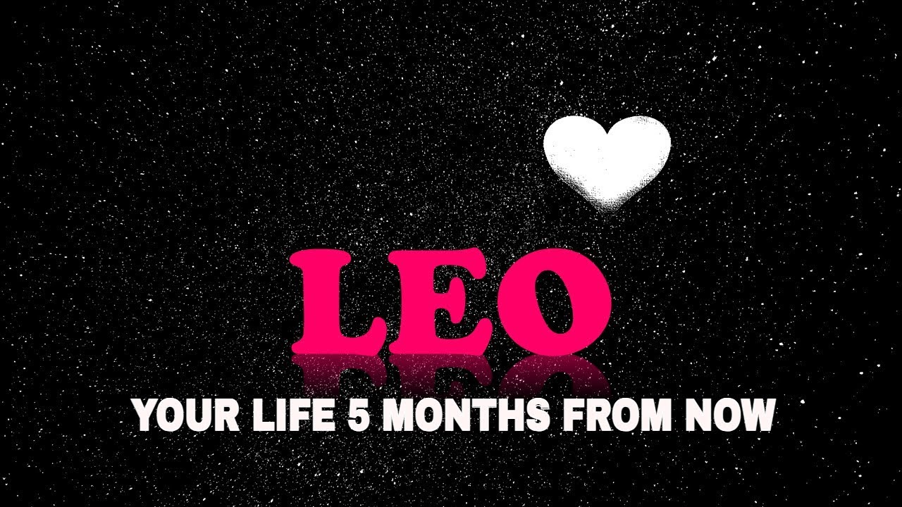 leo-your-life-5-months-from-now-youtube