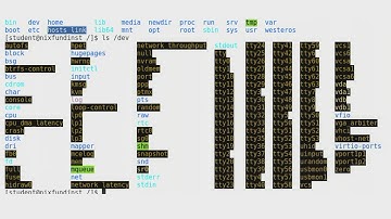 Top Level Directories