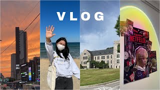 KOREA VLOG: вернулась в корею, учеба в korea university, каннын