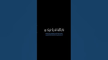 سورة النساء: الآية [ ١٤٢-١٤٣ ] #القرآن_الكريم #الفرقان #سورة_النساء #محمد_اللحيدان #قرآن#تلاوة #آيات