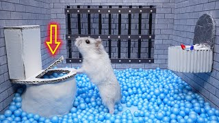 Hamster Escape: Turtle Prison Maze
