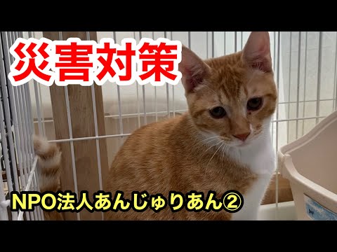 猫や犬の災害対策、避難について「NPO法人あんじゅりあん②」動画愛護団体